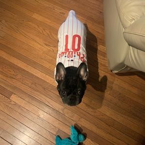 Meet your Posher, Edward